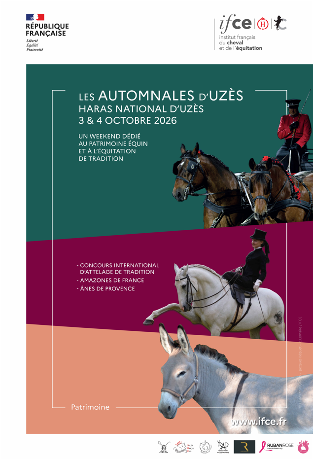 JOURNEES NATIONALES DE L'ANE DE PROVENCE